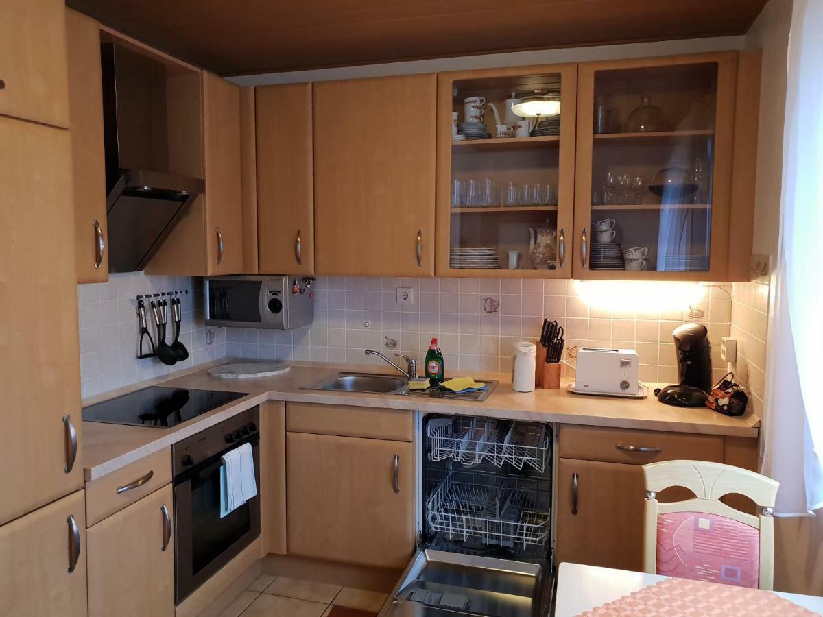 60 Qm Mit Aussicht In Konz Apartment Екстериор снимка